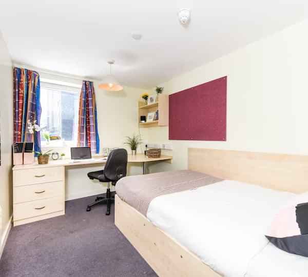 Ensuite Gold Plus - Image 1