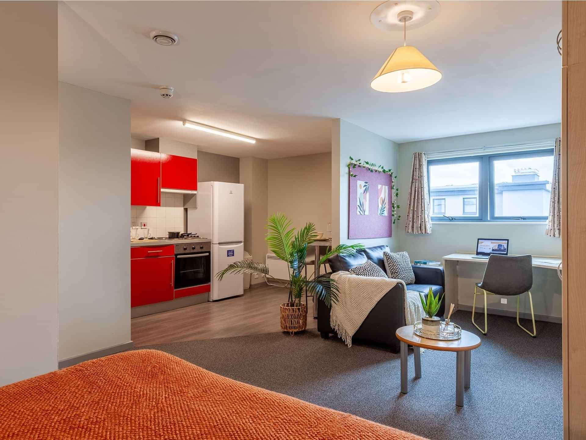 Premium Studio - Image 3