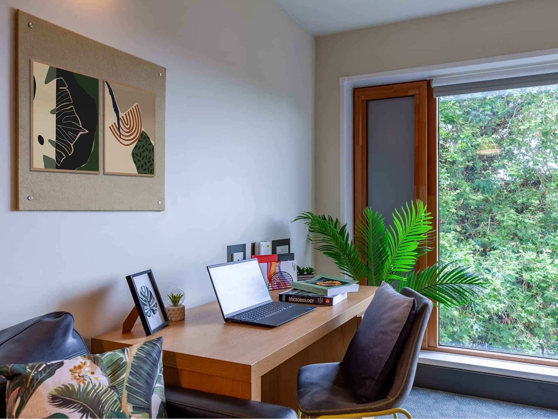 Classic Studio - Image 3