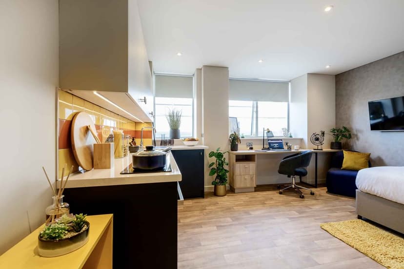 Platinum Executive Studio - Image 4