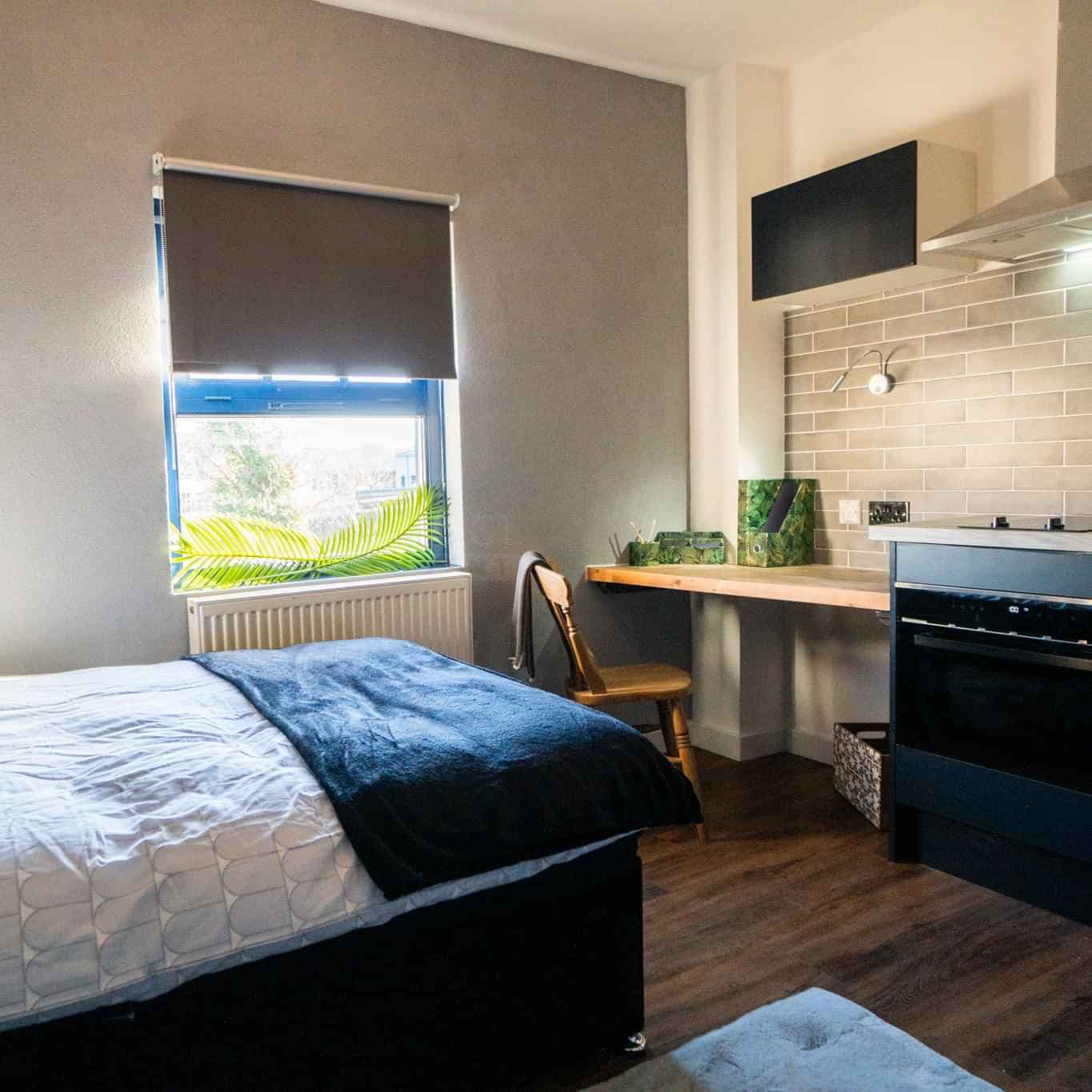 Gold Studio - Image 3