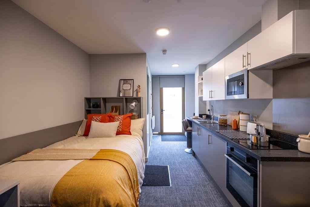 Deluxe Studio - Image 1