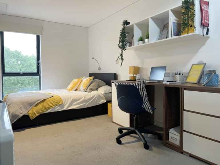Classic Studio - Private Access - Image 1