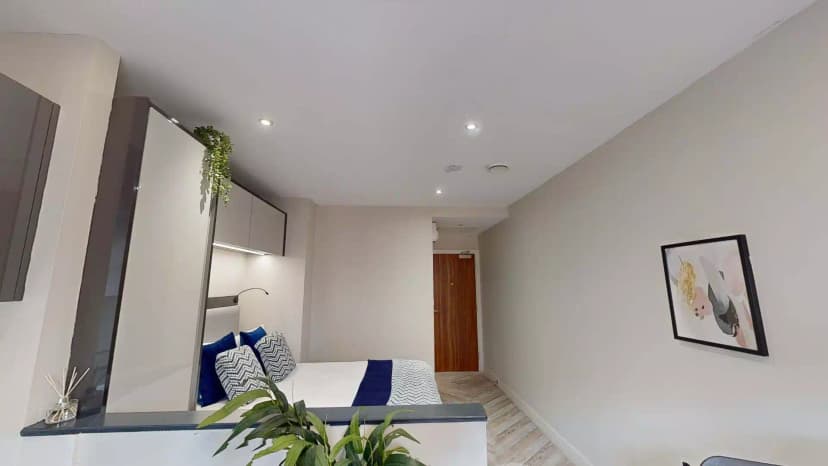 Gold Studio - Image 6