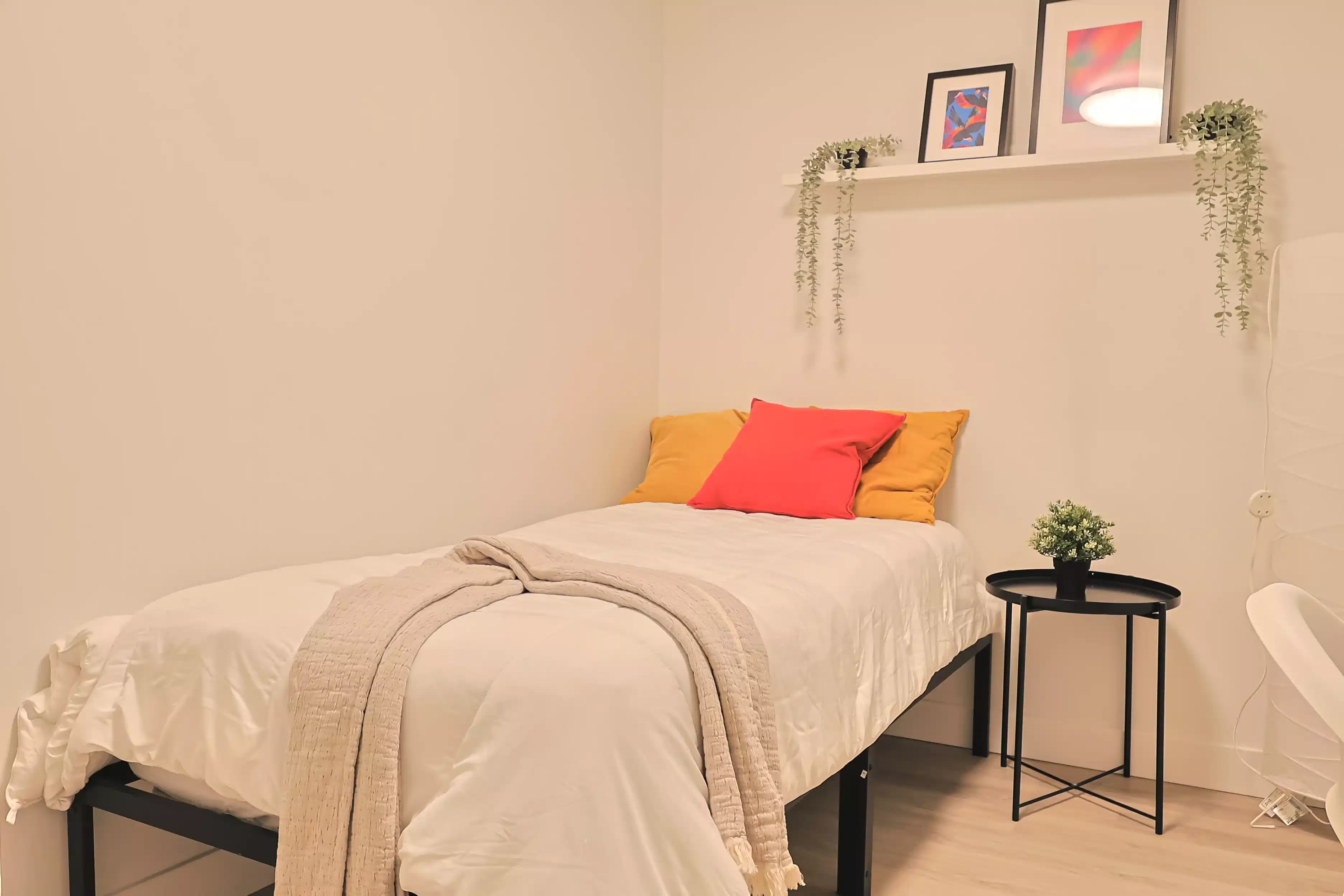 Olmo Room( 4 Bed 1 Bath ) - Image 1