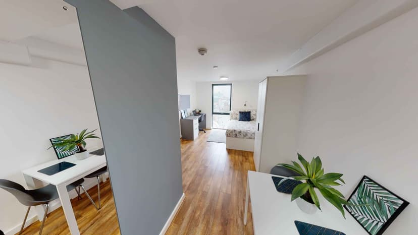 Essential Studio - Image 6