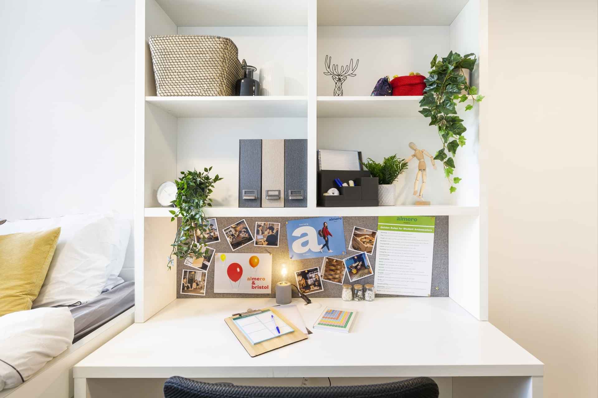 Standard Plus Studio - Image 2