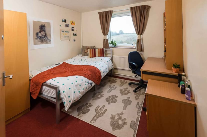 Standard 2 Bed Apartment Share - Image 2